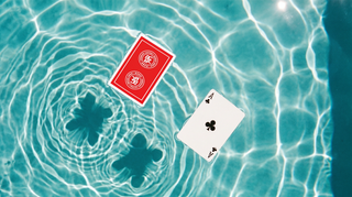How to clean your All-Plastic Bridge Cards